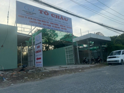 to chau binh minh